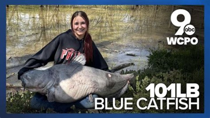 'It put up a heck of a fight': Woman catches 88-pound Blue catfish in the Tennessee River