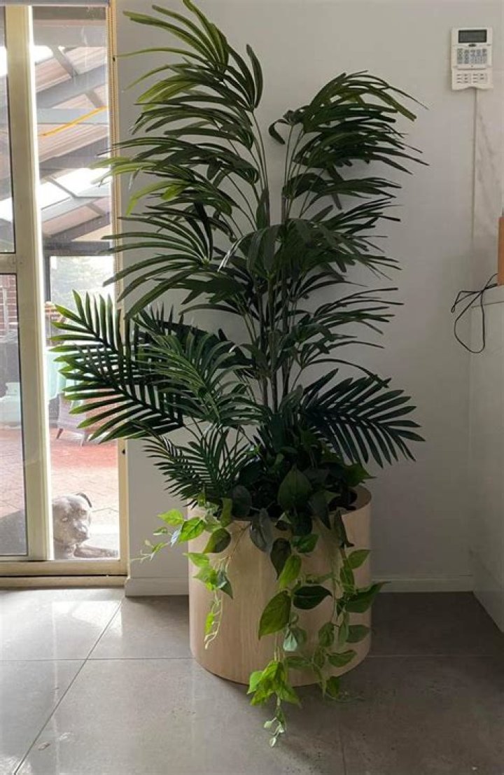 Adelaide woman’s clever Kmart side table pot plant hack
