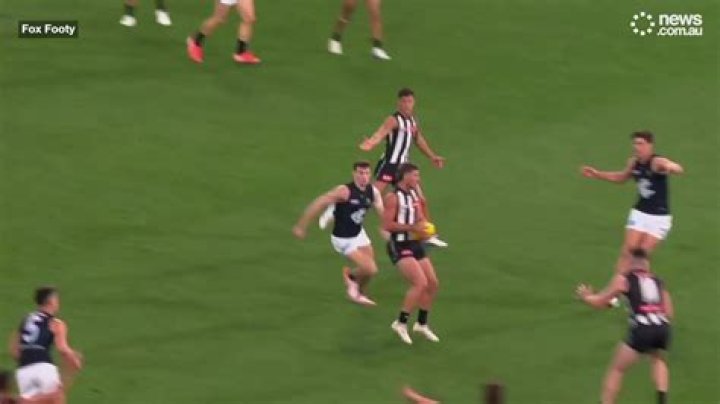 AFL news 2022: Carlton and Collingwood fans erupt in brawl after match: Video