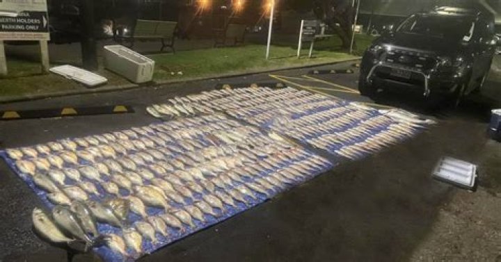 Auckland fishers caught with 45 times daily snapper limit