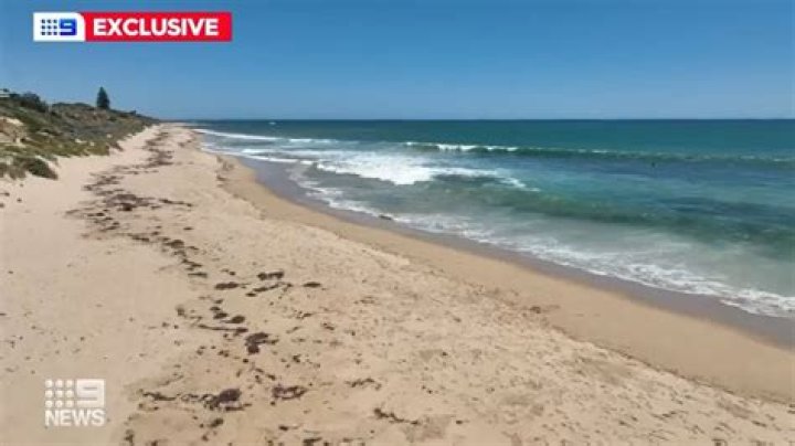 Bryce Hickman describes shark encounter at Cosies surf break, near Mandurah