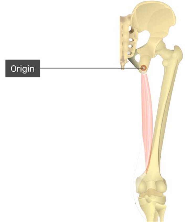Career, biography and origin of Irvin Kershner