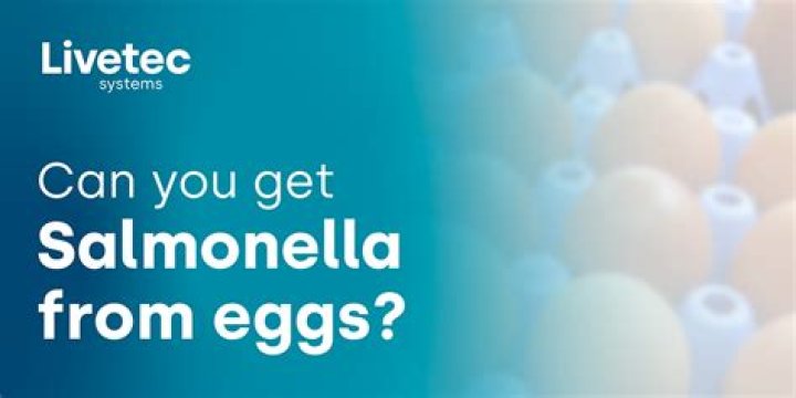 Cases of Salmonella From Eggs Still on the Rise