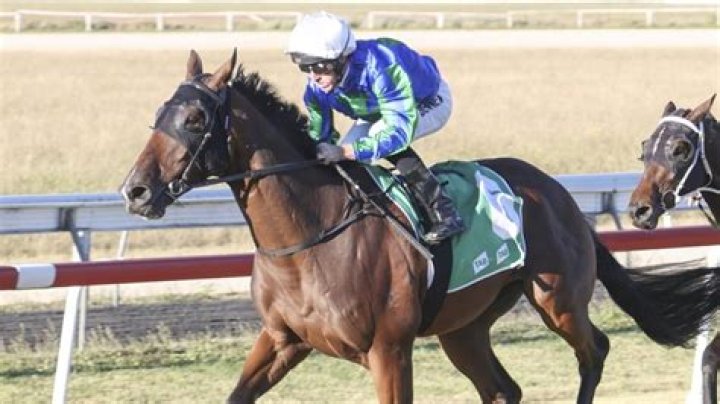 Champion NSW country jockey Greg Ryan has retired after three decades in the saddle