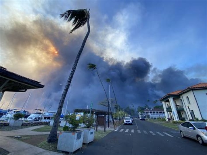 Crews fight 850-acre brush fire in Lahaina | News, Sports, Jobs