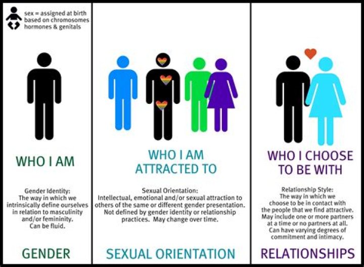 Dan Wootton: His Sexual Orientation and Relationship Status