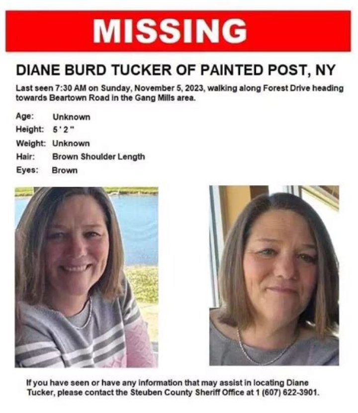 Diane Tucker Missing Person, Painted Post New York, She Was Last Seen Walking On Forest Dr Towards Beartown