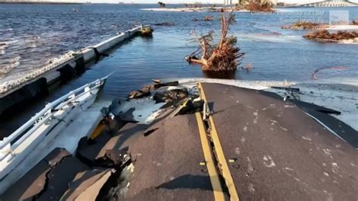 DLNR: Yacht caused 19,000 square feet of damage to reef | News, Sports, Jobs