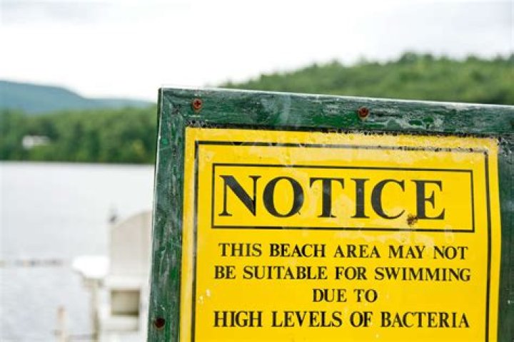 Dozens of beaches across Northeast closed for swimming due to high levels of bacteria in water
