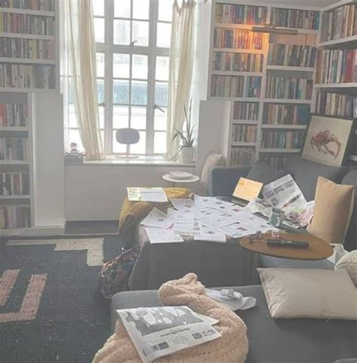 Drew Barrymore's homey living room in $5.5million house is basically a library