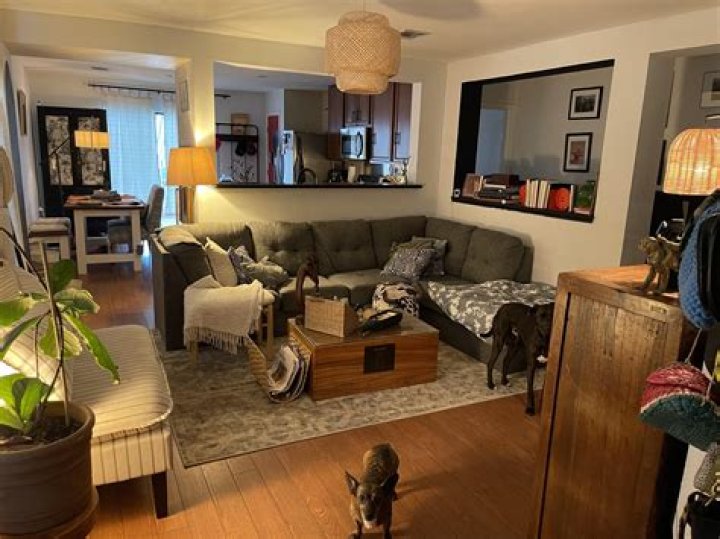 Drew Barrymore's luxurious living room looks like a Hogwarts library