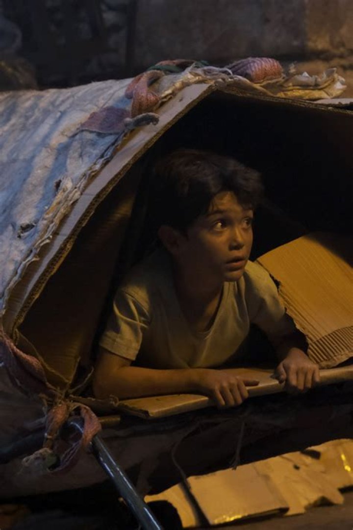 Emir Ali Dogrul Biography