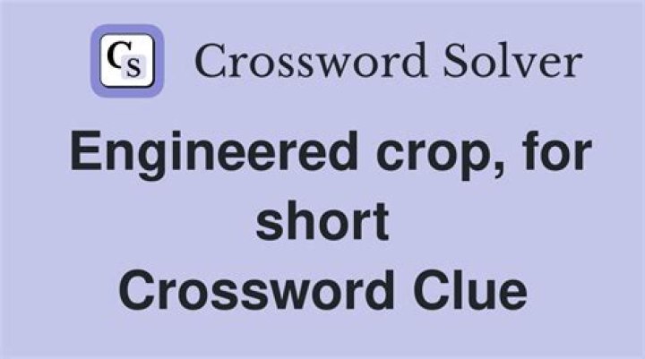 Engineered crop, for short Crossword Clue NYT