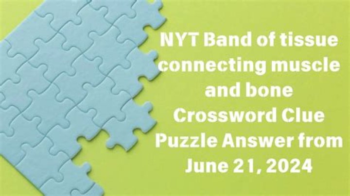 Fatty, as tissue Crossword Clue NYT