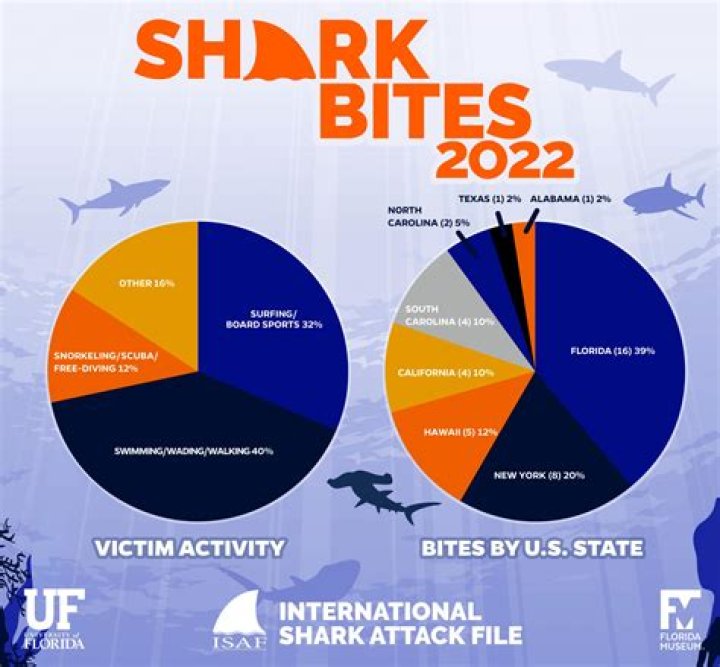 Florida's 'Shark Bite Capital of the World' Claims Two More Victims