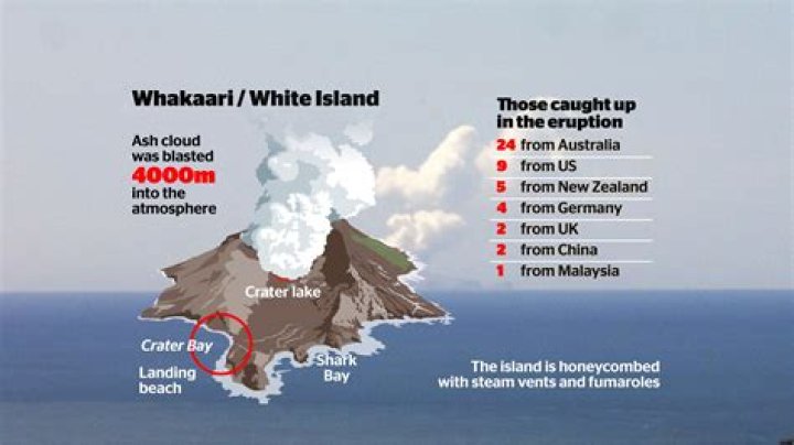 German man dies following Whakaari/White Island eruption, bringing death toll to 22