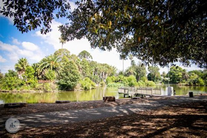 Glimpse inside of ‘best’ Coles in Moonee Ponds, Melbourne