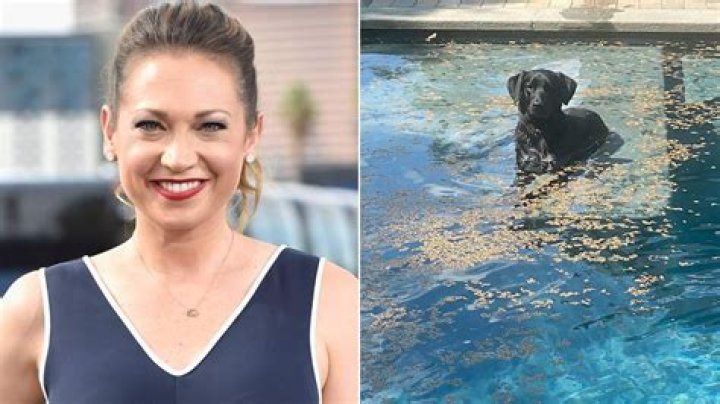 GMA's Ginger Zee unveils incredible swimming pool – fans react