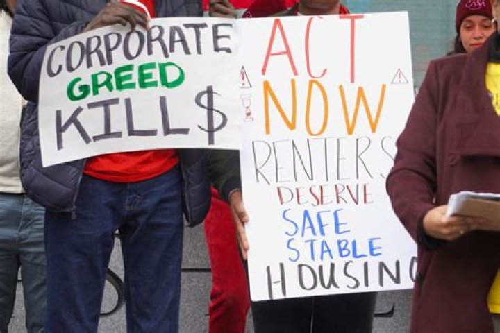 Green plans to extend Maui renter protections | News, Sports, Jobs