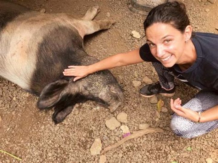 Haiku animal refuge needs financial help | News, Sports, Jobs