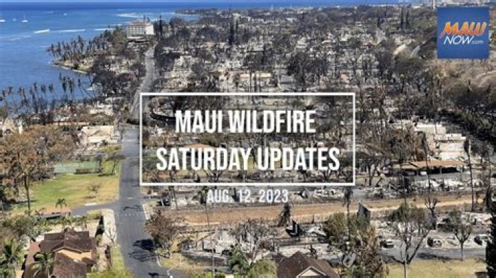 Hawaii Works to Identify 99 Confirmed Dead After Maui Wildfires | News