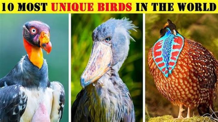 Hilarious and Hair-Raising: Some of the Most Unusual Travel Advice Ever