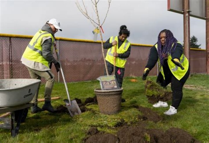 Historic investment in urban trees underway across the U.S.