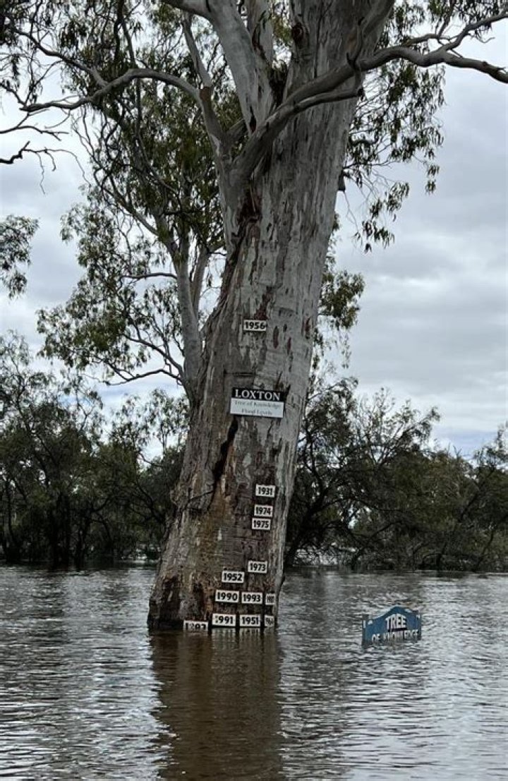 History of mobiles | news.com.au — Australia’s leading news site