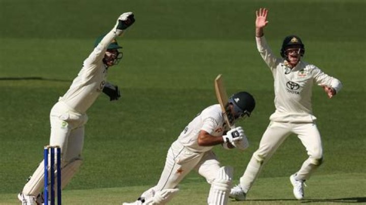 ‘Hit the stumps’: Alex Carey misses stumping, ‘spooked’ in bizarre moment vs Pakistan