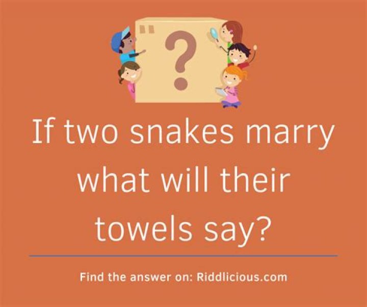 If Two Snakes Marry, What will their Towels Say? Riddle - Logical Explanation of IIf Two Snakes Marry, What will their Towels Say Riddle Answer