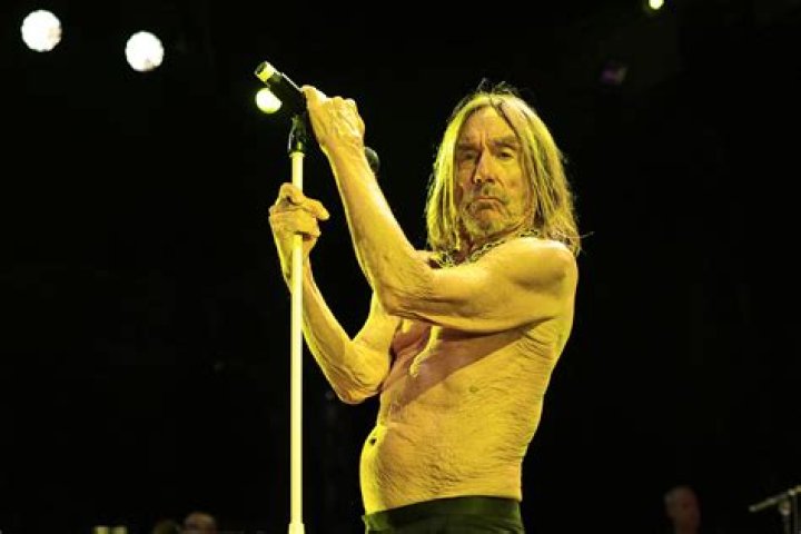 Iggy Pop Net Worth, Age, Height and More