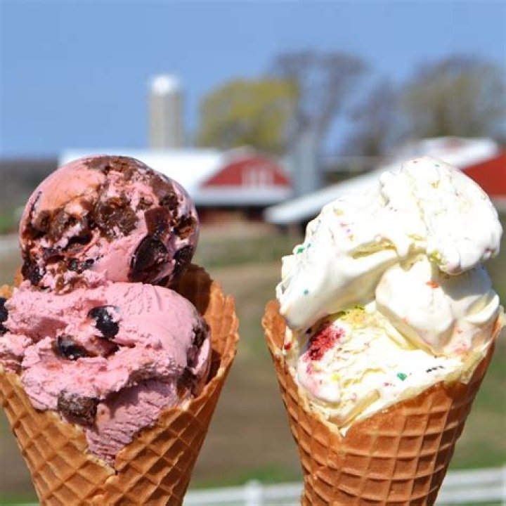 It's Official: Moomers Makes 'Best' Ice Cream
