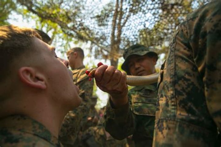 James Mattis treated to display of Indonesian soldiers drinking snake blood