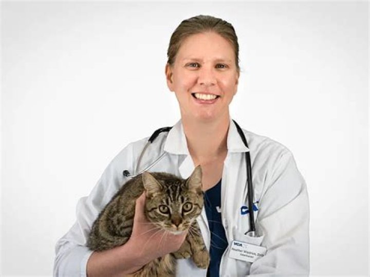 Joshua Moell Obituary, Auburn NY Rome Animal Hospital Veterinarian Has Died