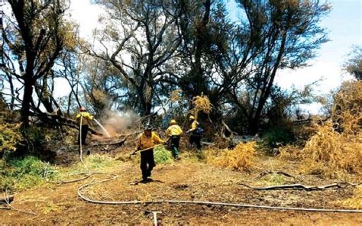 Kealia Pond refuge to reopen Monday with fire mostly contained | News, Sports, Jobs