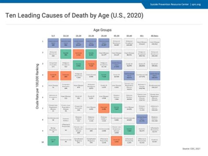 Kevin Mcalpine Flashback Suicide, Cause of Death