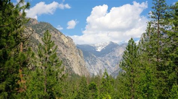 Kings Canyon, Sequoia National Parks could reopen in April after recent storms | News