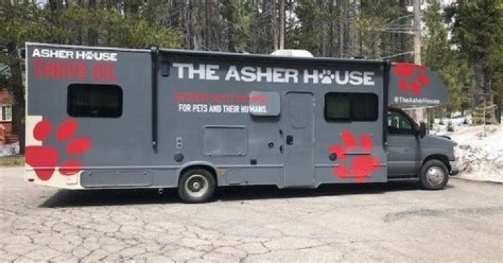 Lake Tahoe Men Are Helping Shelter Dogs Find Homes |