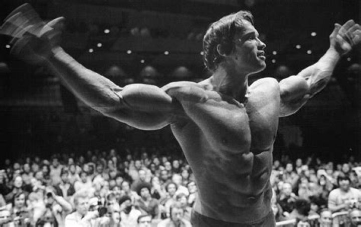 Learn about Arnold Schwarzenegger’s Ethnic Background