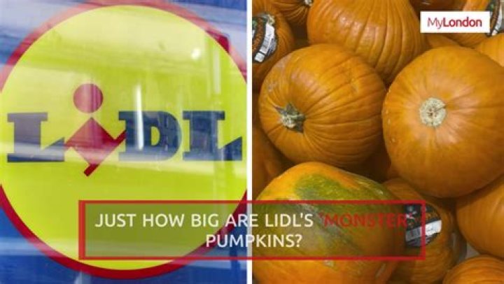Lidl, Aldi and Asda's biggest pumpkins compared to see which gives best value for money - Amber-Louise Large