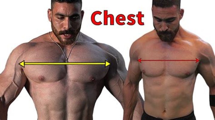 Man Bras for Bigger Pecs Are Finally Here