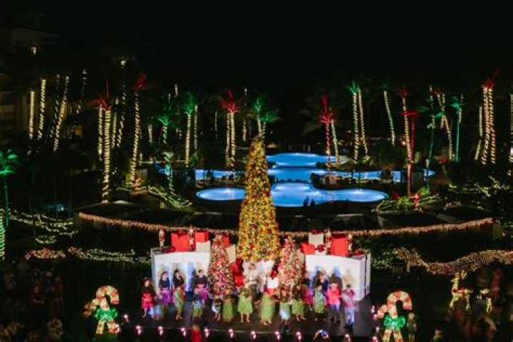 Maui Christmas: Holiday images from around the island | News, Sports, Jobs