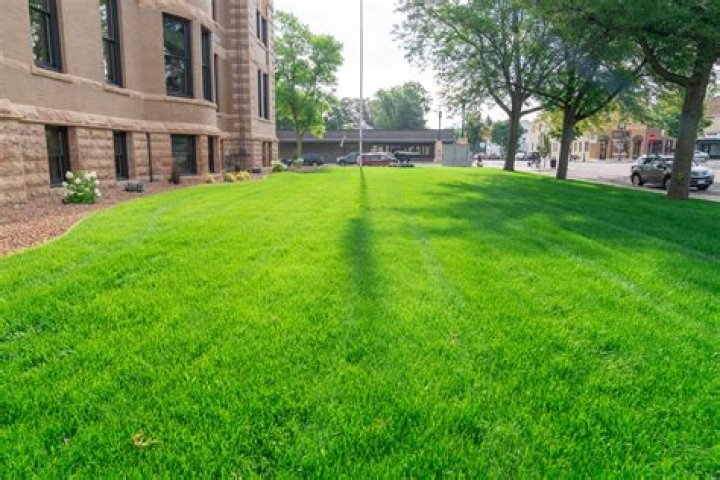 Mitch Olson Obituary, Waseca MN, Accident, Agriculture