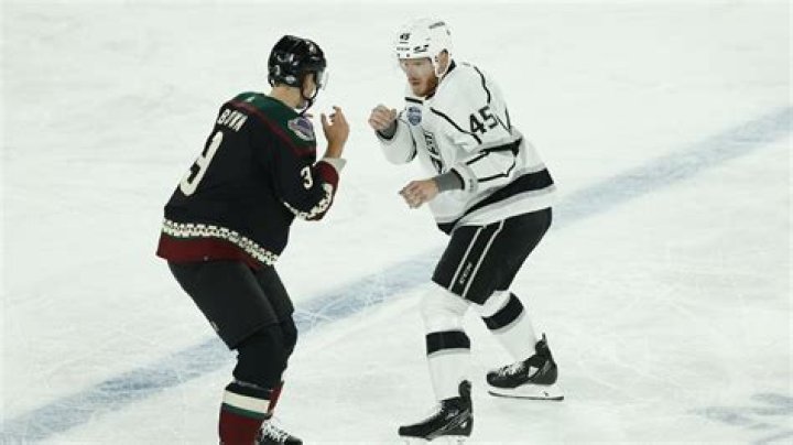 NHL Global Series: Fist fights in Arizona Coyotes vs LA Kings pre-season game in Melbourne, video, photos