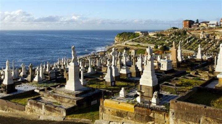 NSW Cemeteries boss Lee Shearer claims she found out she lost her job from 2GB