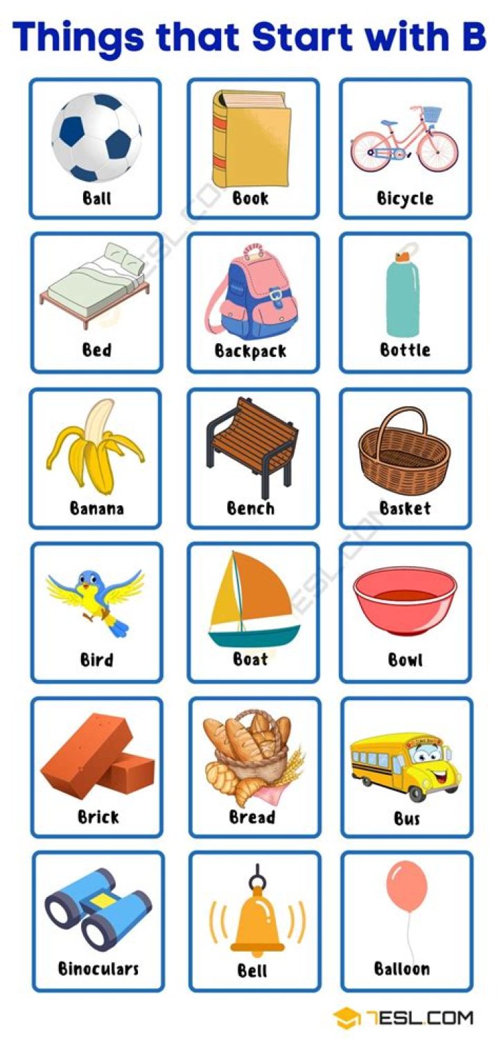 Objects that start with A: Find Out The List Of Words Which Begins With The Letter A
