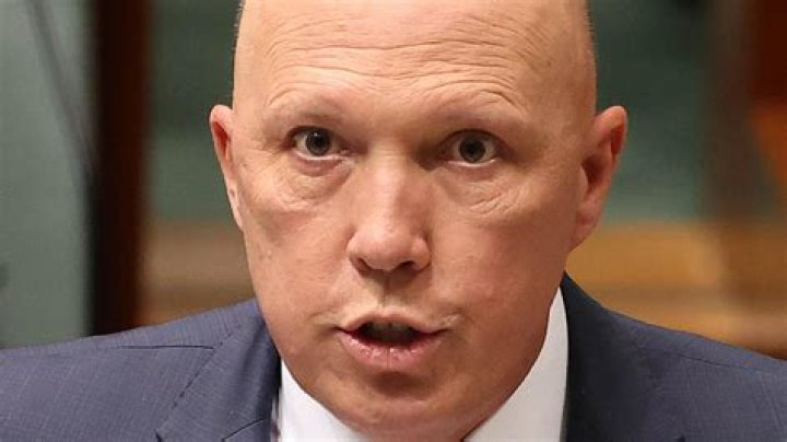 Peter Dutton shut down by Anthony Albanese during Question time, labelled a boofhead