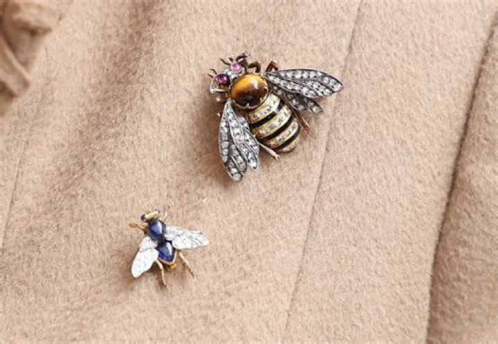Queen Camilla sparks mystery in never-before-seen insect brooches