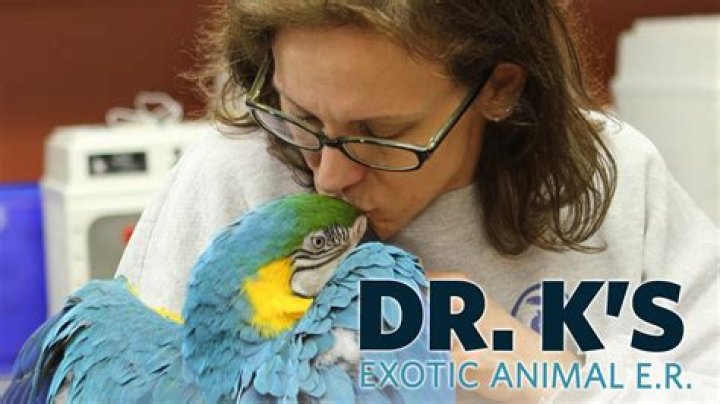 Reno's Exotic Animal Shop Closing |