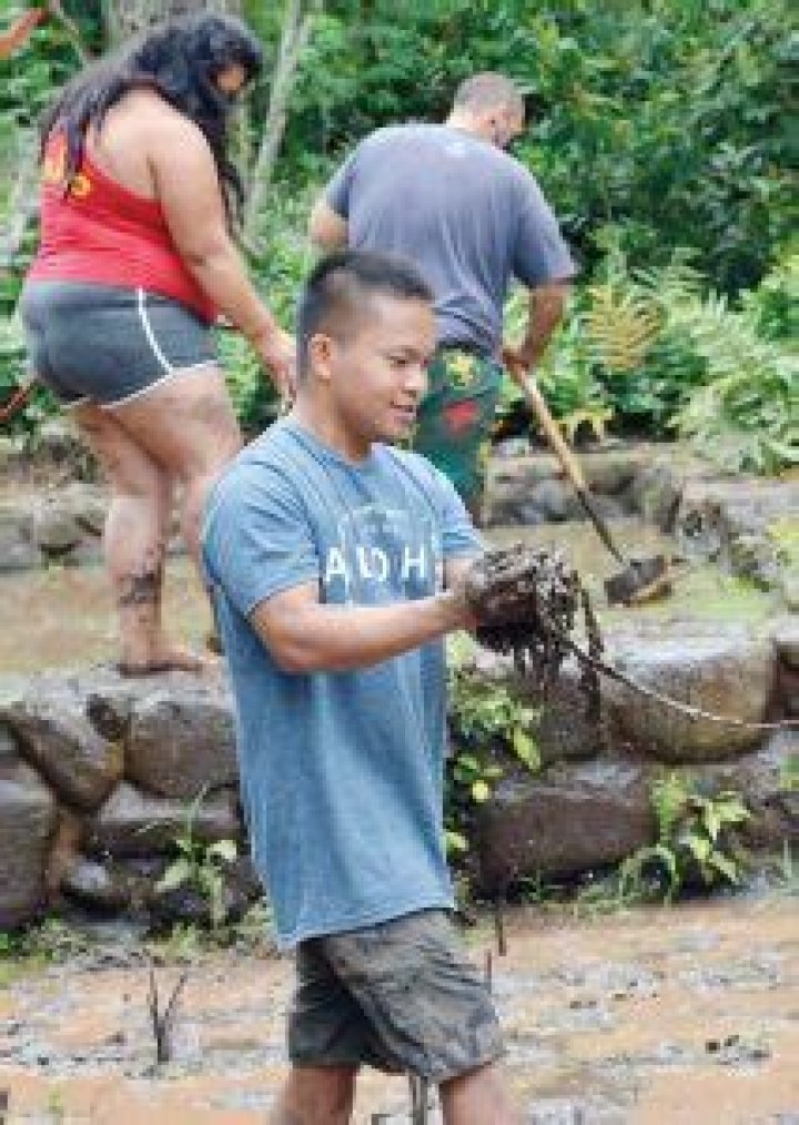 Restoring the lo‘i kalo | News, Sports, Jobs